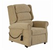 Two way Tilt in Space Riser Recliner Chair